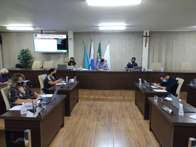 Reunião ordinária do dia 29/03/2021
